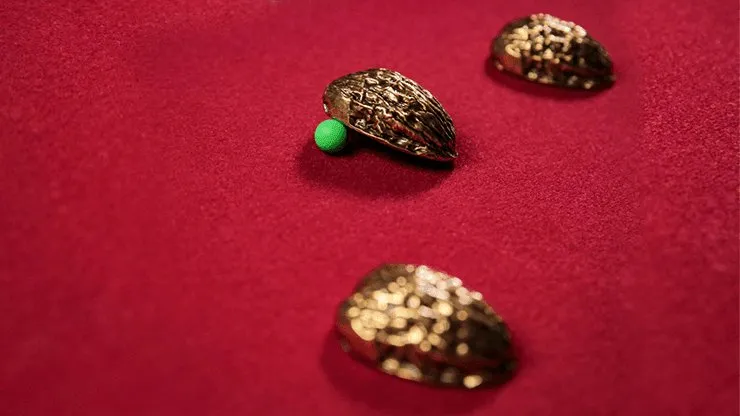 3 SHELLS by TCC