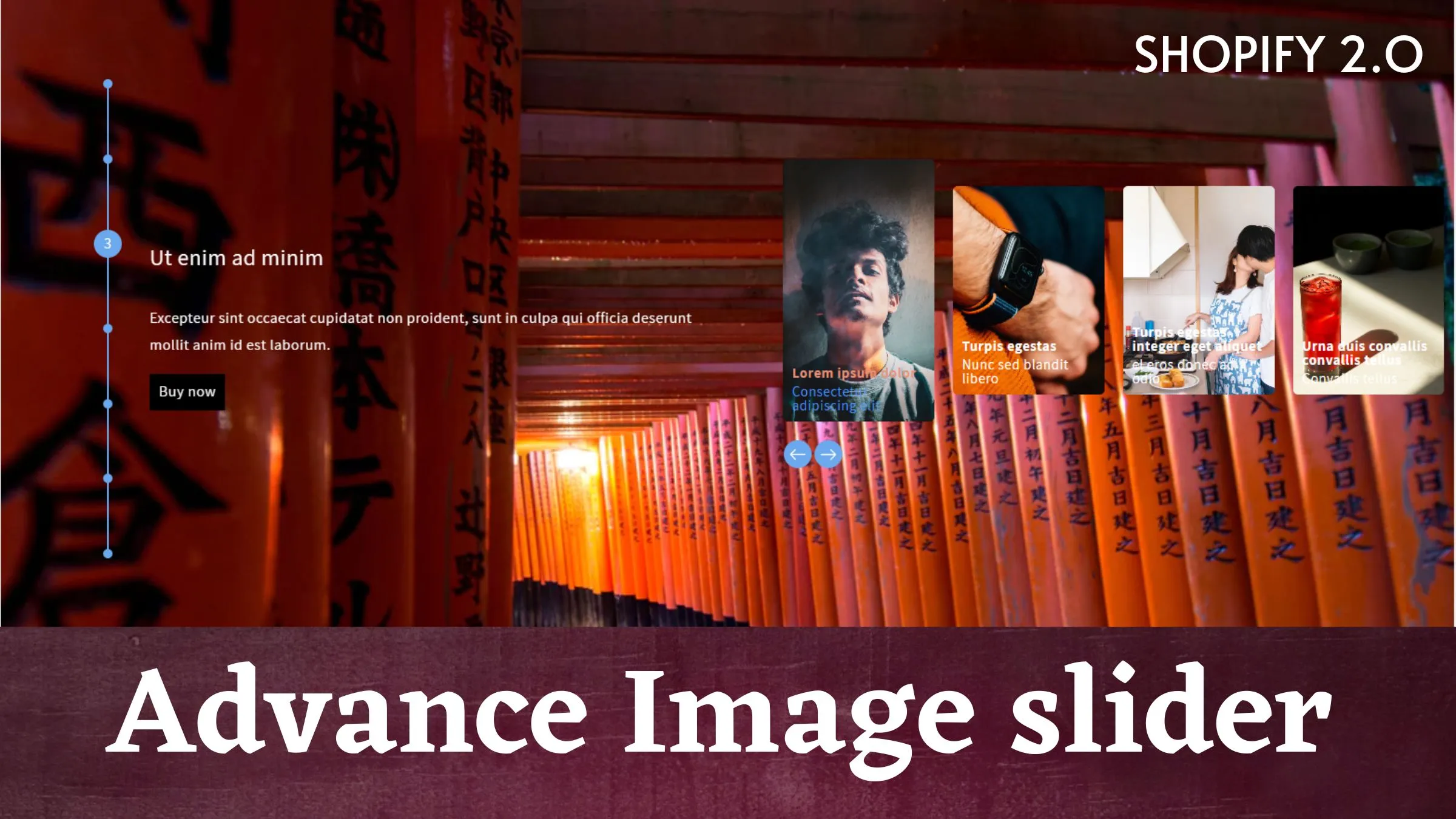 Advance Shopify Gallery Banner with Slider in your Page