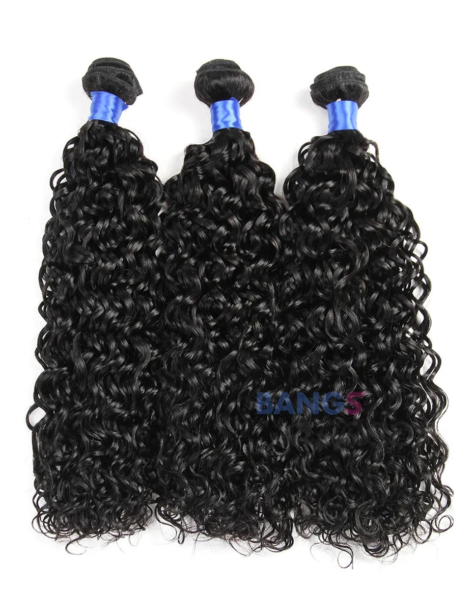 Brazilian Virgin Hair 3 Bundles With Closure Water Wave