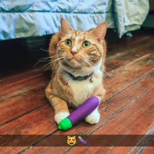 Eggplant Emojibator Ultra Discreet First Time Bullet Vibrator