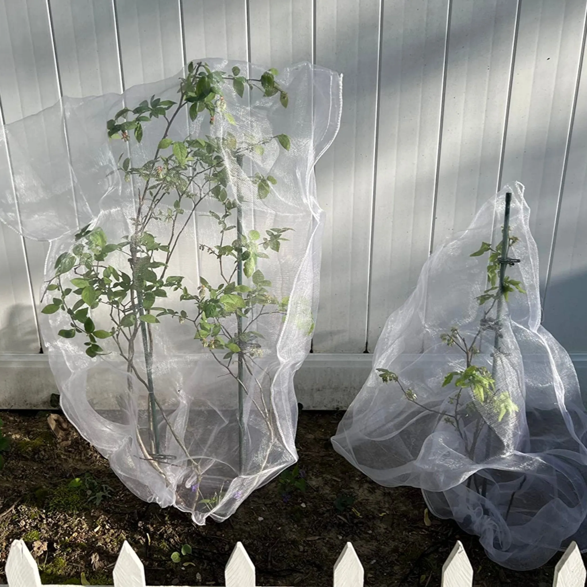 EnviroBug Tree Defender – Fruit Tree Netting for Bird and Insect