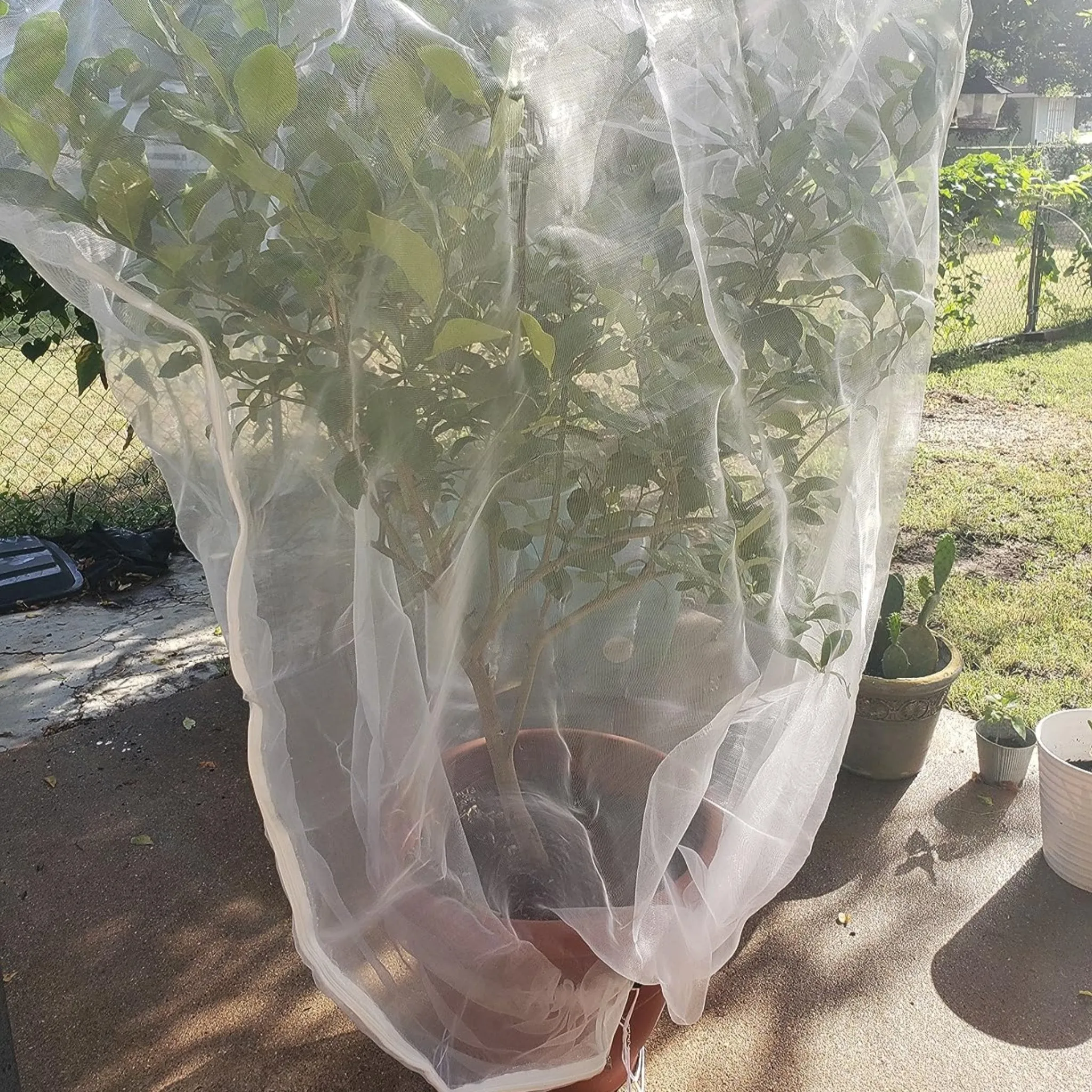 EnviroBug Tree Defender – Fruit Tree Netting for Bird and Insect