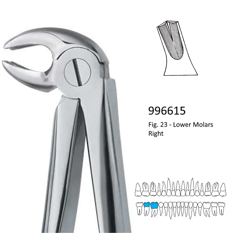 Extraction Forceps, Lower Molars, 996614-996616, 996627, 996633-996636, 996868