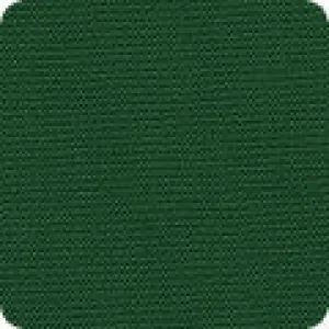 Green Canvas 9.6oz per sq yd -- Big Sur Canvas -- Robert Kaufman Fabrics