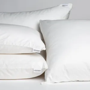 Pillow Liner