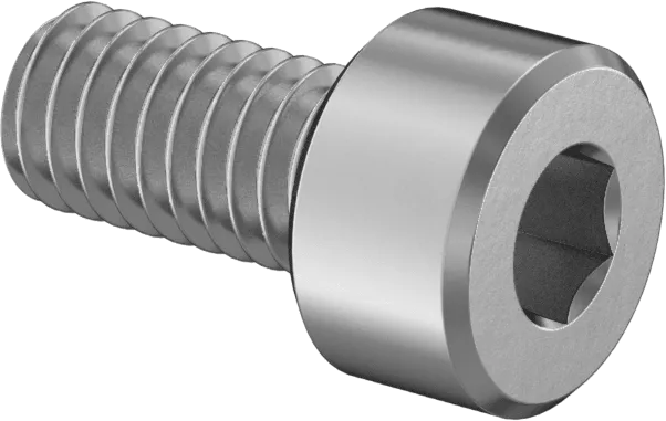 Replacement Socket Screws for PRL MAF Housing (PAIR)