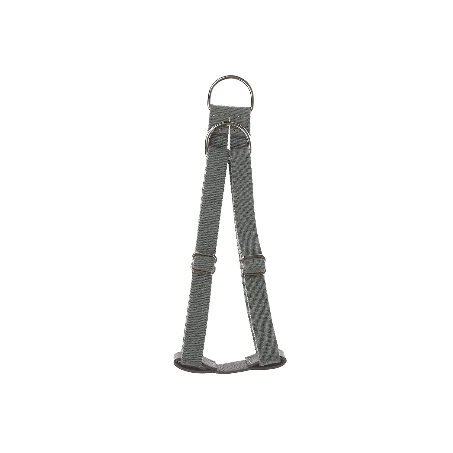 Ring Dog Harness