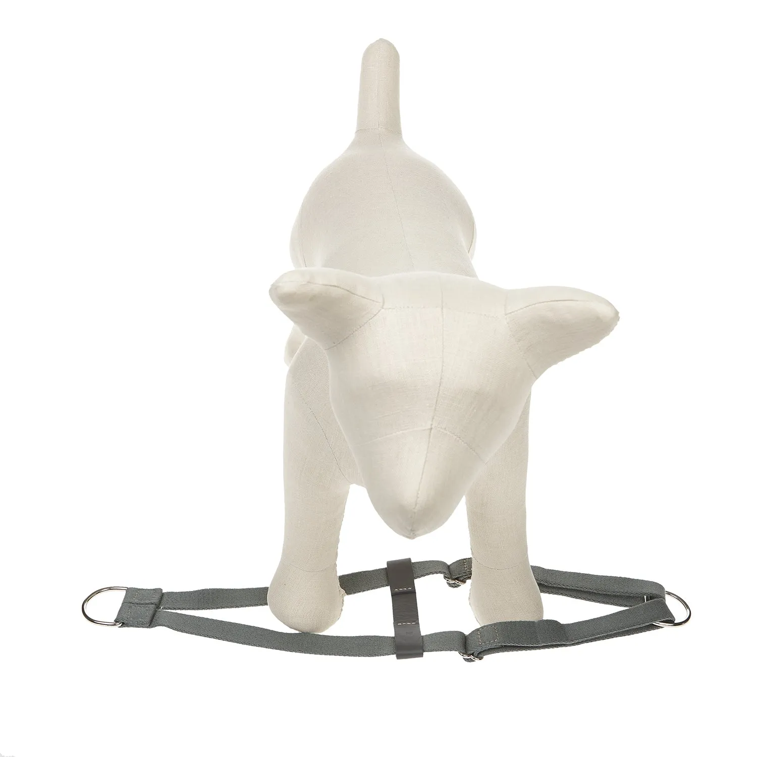 Ring Dog Harness