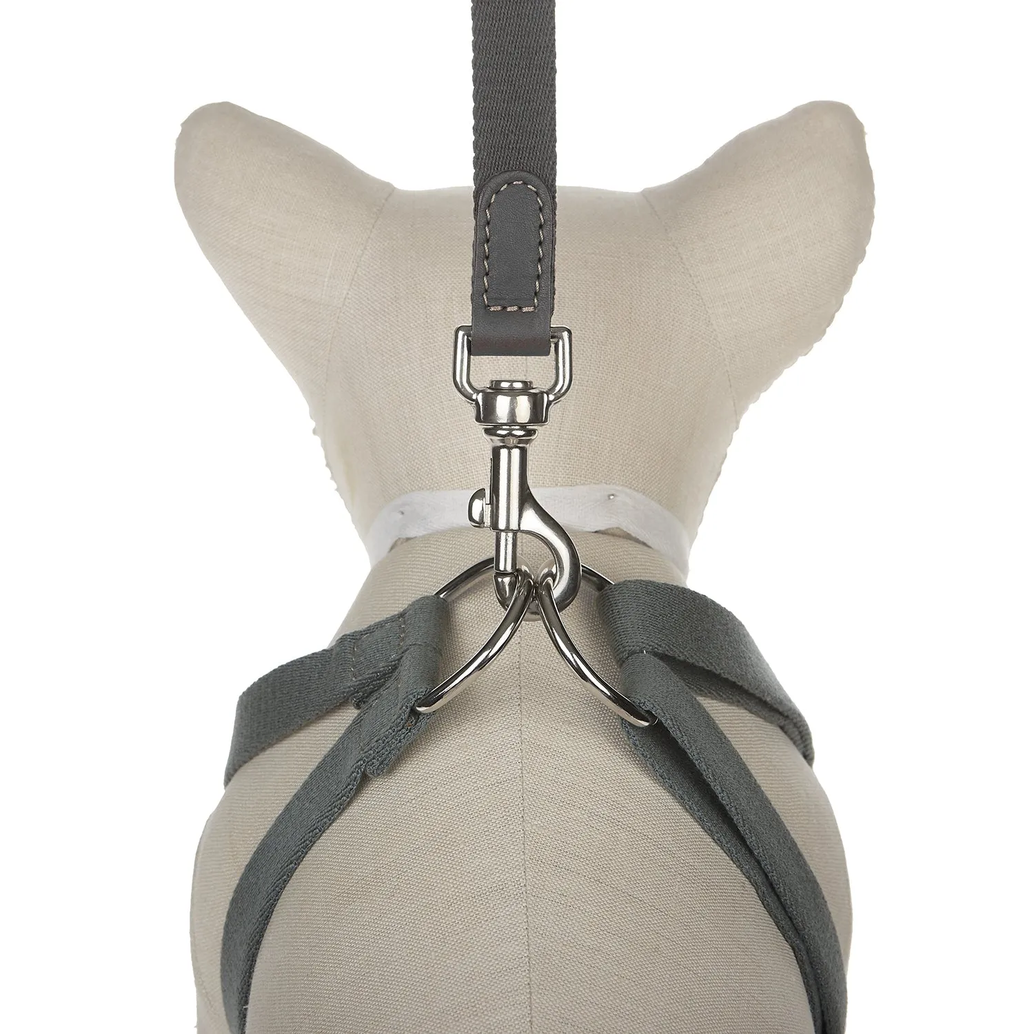 Ring Dog Harness