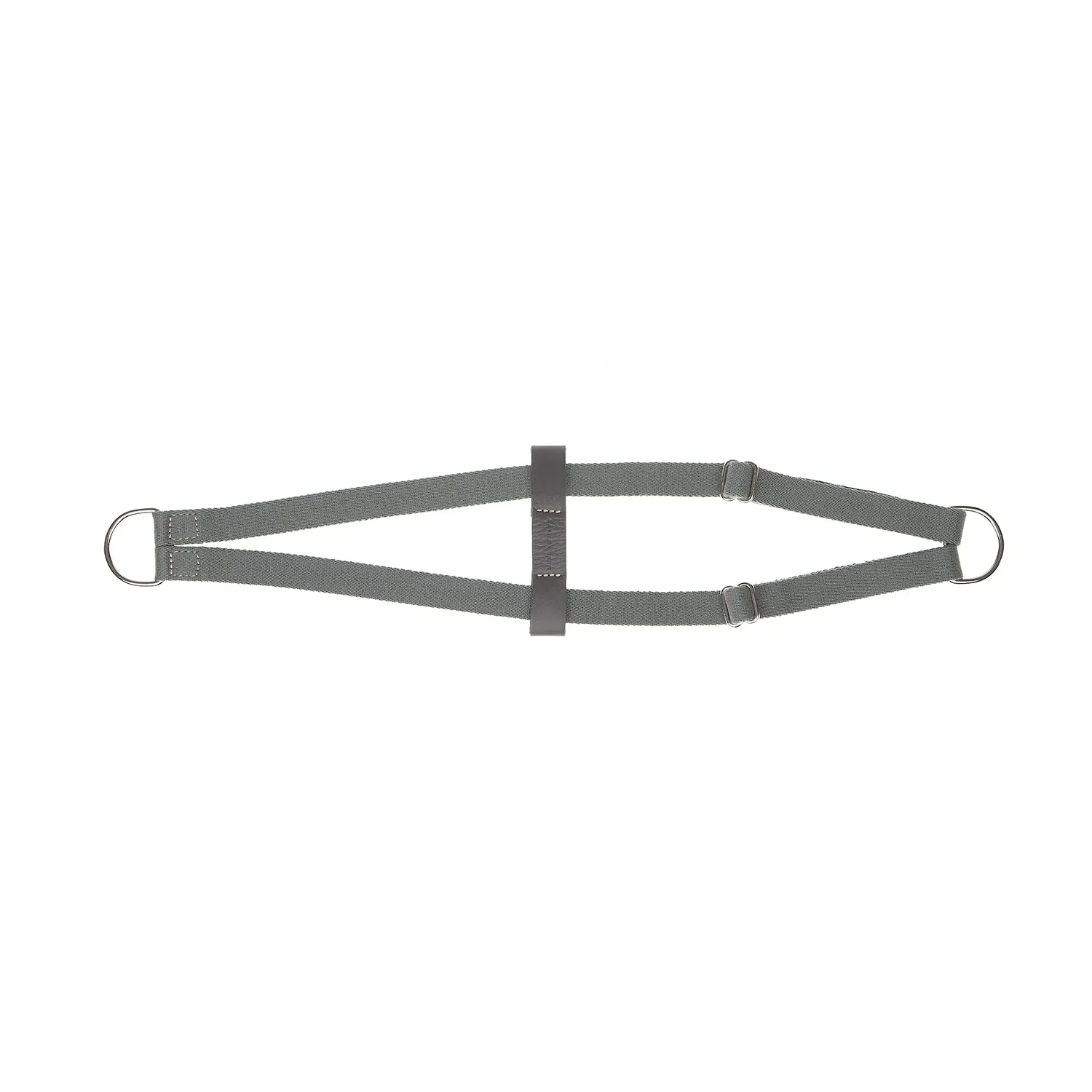 Ring Dog Harness
