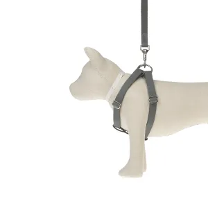 Ring Dog Harness