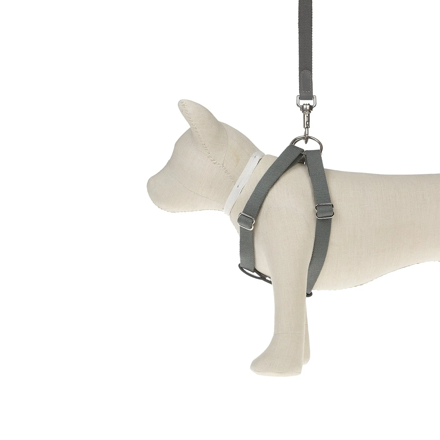 Ring Dog Harness