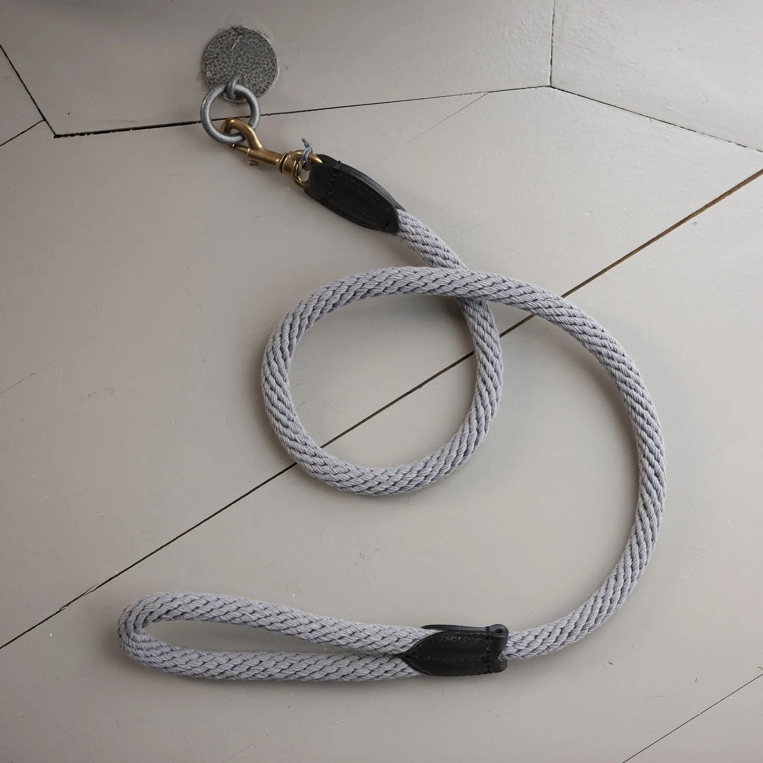 Rope Dog Lead