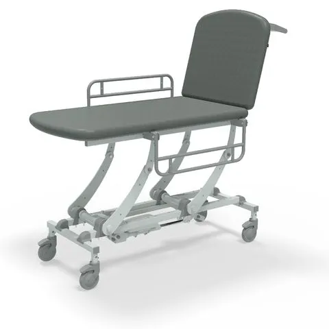 Seers - CLINNOVA Mobile 2 Section electric couch with classic base and gas assisted backrest and switch and wheel options (265Kg SWL)