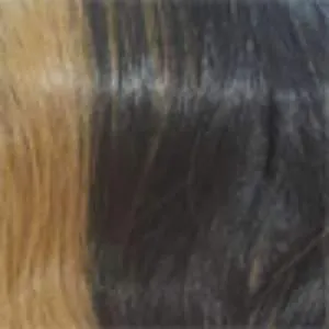 Shake-N-Go Organique Mastermix Weave - BALI WAVE 4PCS (18/20/22   4x4 lace closure)