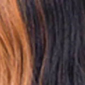 Shake-N-Go Organique Mastermix Weave - BALI WAVE 4PCS (18/20/22   4x4 lace closure)