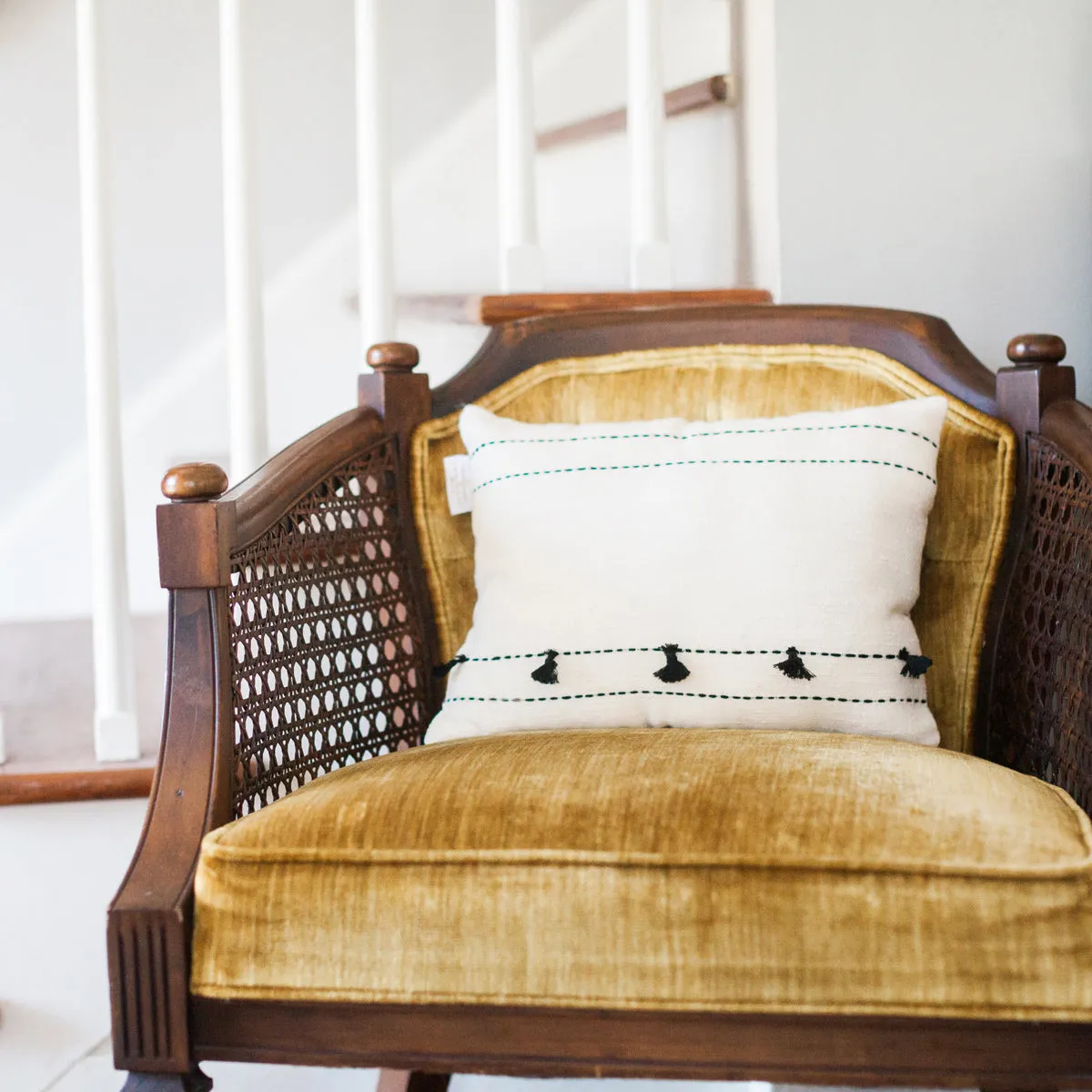 Tasseled Pillow 12" x 16" with zipper closure