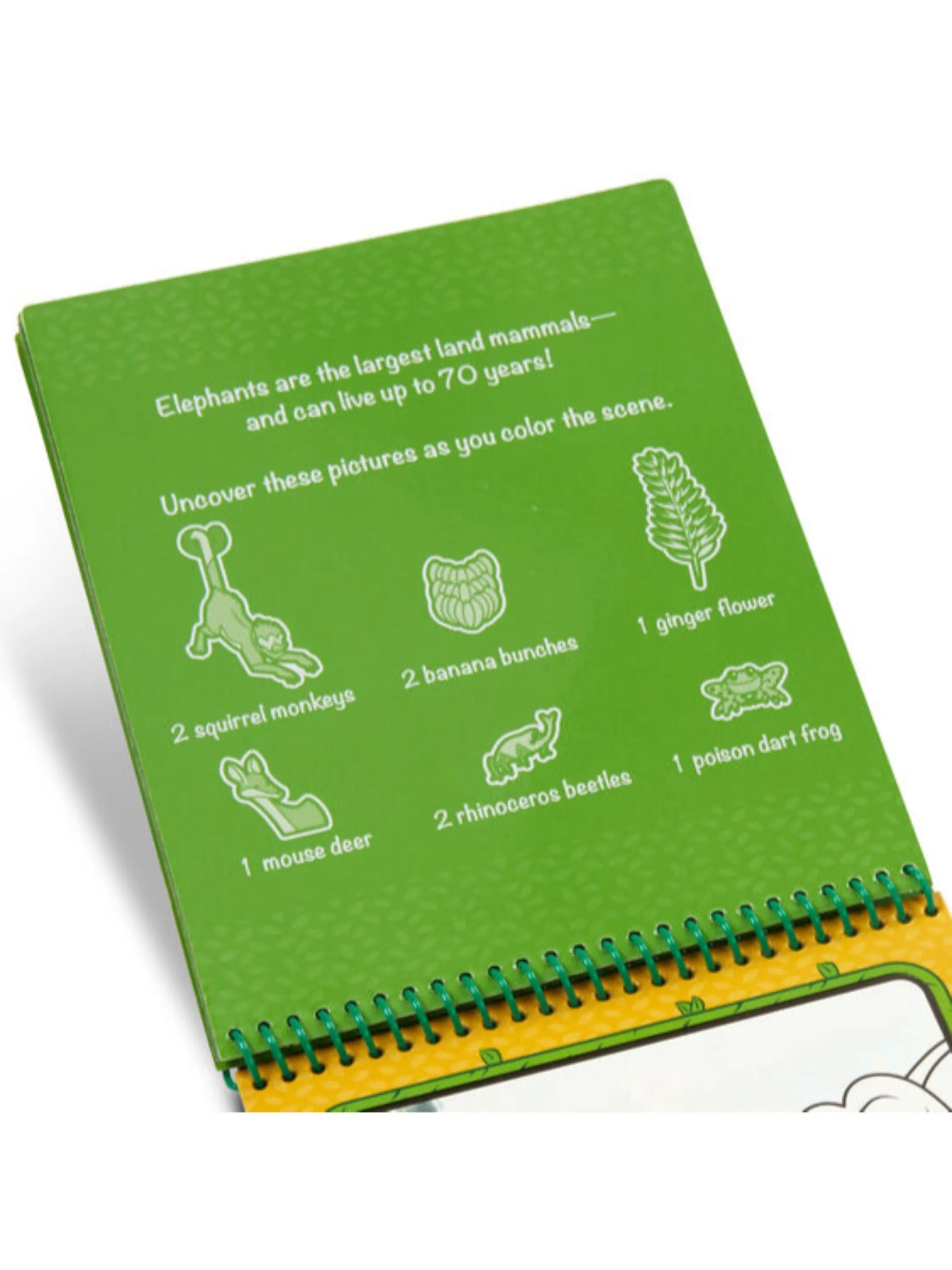 Water Wow! Jungle Water-Reveal Pad - On the Go Travel Activity