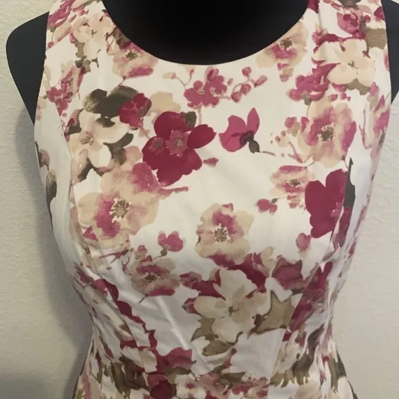 White House Black Market Rose Garden Floral Rockabilly Sun Dress Women's Size 2