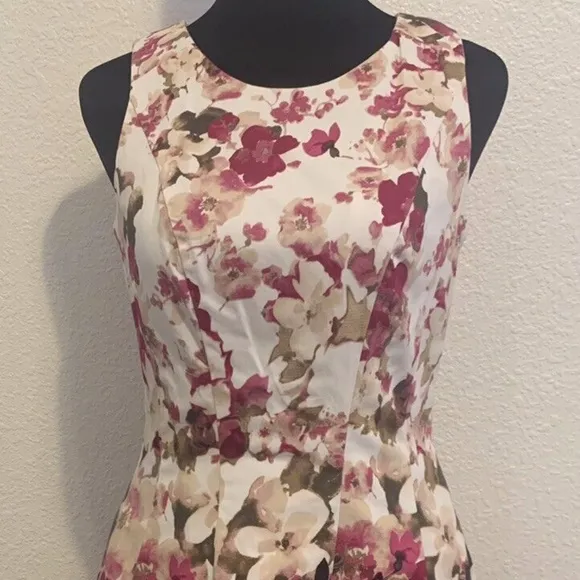 White House Black Market Rose Garden Floral Rockabilly Sun Dress Women's Size 2