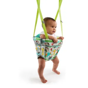 Zig Zag Zebra Door Jumper